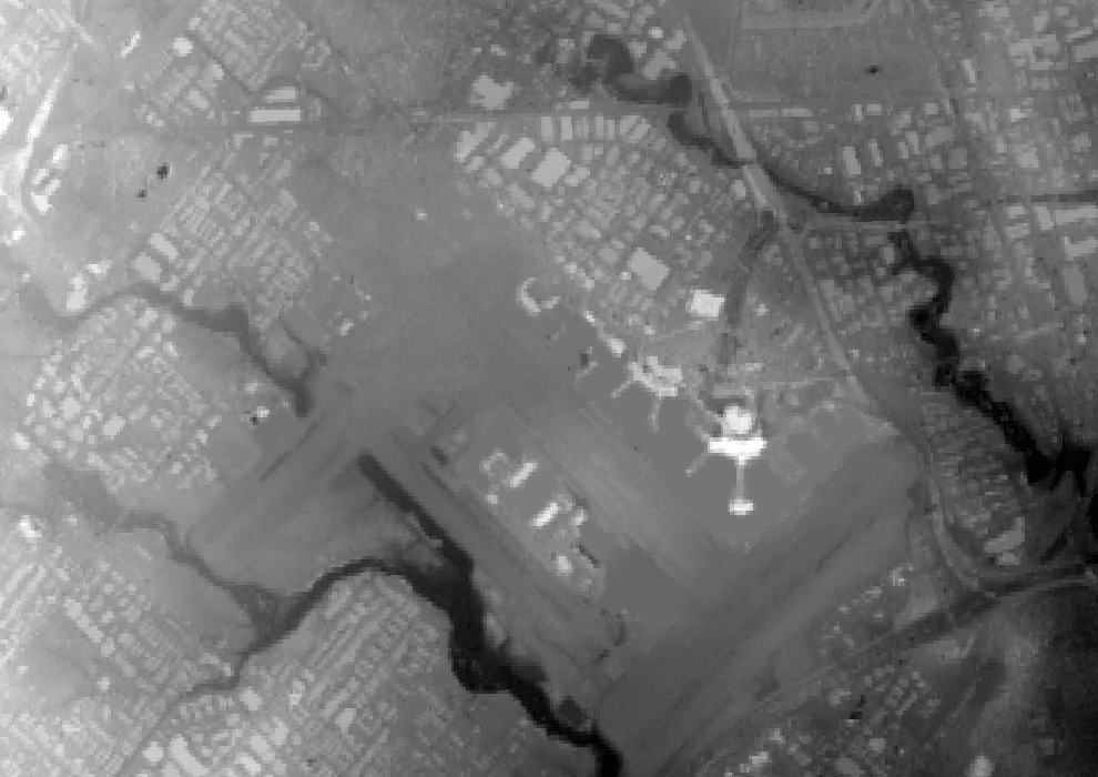 Image of Copernicus 30 DEM over Toronto Pearson Airport